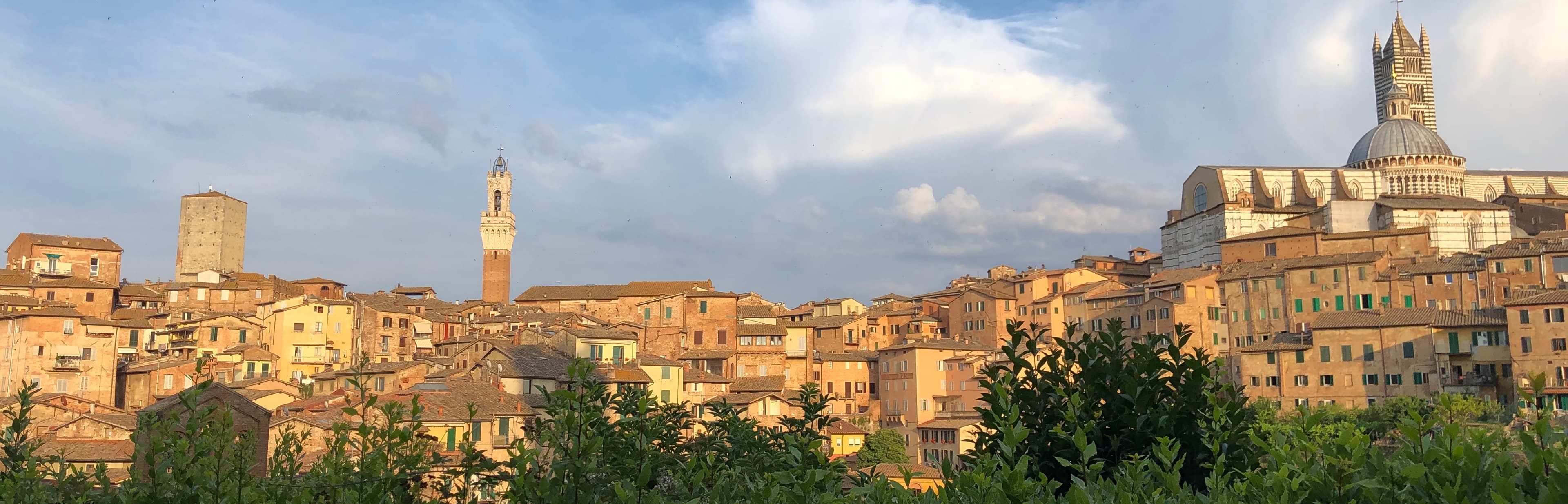 Via Francigena pilgrimage route